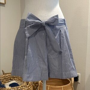 Parker Blue and White Striped Shorts